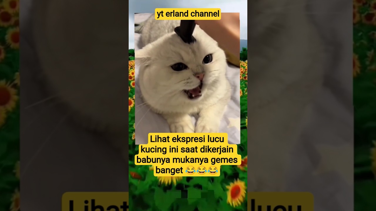 17 Februari 2026
