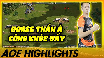 QUAY TAY lên HORSE THẦN - Quýt nhận đòn đau từ ĐẠP ĐÔI của Chim Sẻ | AoE Highlights