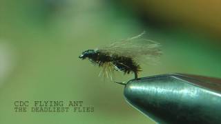 FLY TYINGCDC FLYING ANT  THE DEADLIEST FLIES with Chris Walklet