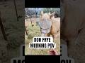 Don Frye's Morning Routine #horse #barn #donfrye #lifestyle
