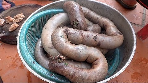 Ẩm Thực Cỗ Quê Lòng Lợn Tiết Canh Nóng Hổi Vừa Thổi Vừa Ăn Ngon Nhất Quê Lúa Thái Bình