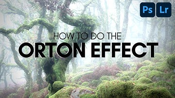 ORTON EFFECT TUTORIAL | Woodland Photography