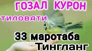 ГОЗАЛ КУРОН ТИЛОВАТИ | 33 МАРТА ТИНГЛАНГ | НИМА БОЛИШИНИ КИЙИН КОРАСИЗ #quran