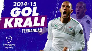 Gol Kralı Fernandao (2014-2015) | Tüm Goller | Trendyol Süper Lig