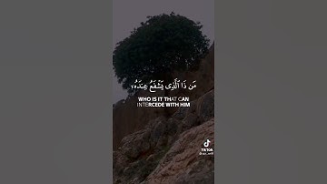 ايات من سورة البقرة- مصطفى مطير||Surah al-baqara- mustafa muteir
