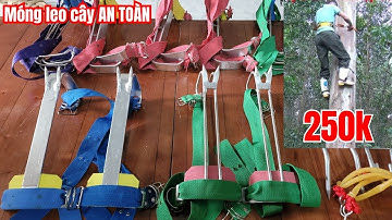 cựa leo cây giá rẻ // guốc trèo cây 2 đinh / dụng cụ leo dừa / cựa leo dừa giá rẻ