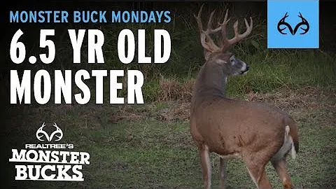 MASSIVE Missouri Buck | Michael Hunsucker | Monste...