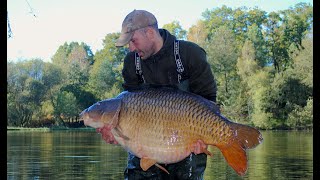 Monster CARP of 83lb (37.6kg)