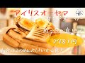 キャンプ飯！アイリスオーヤマのホットサンドメーカー使ってみた！