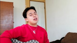 Leo Rizzi - Amapolas (cover)