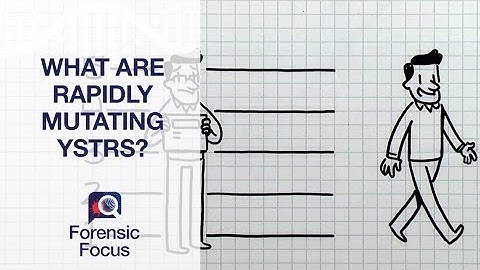 What are Rapidly Mutating YSTRs? - Forensic Focus #3