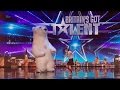 Britains got talent 2016 s10e05 vadik the kilted talking mime dance fights polar bear full audition