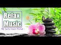 Relax music  sed music official  relax song  md saiful islam rishat 