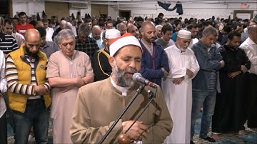 الشيخ حسن صالح أواخر سورة القصص