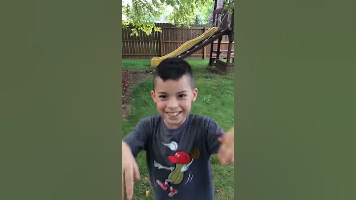Zip lining on a tree