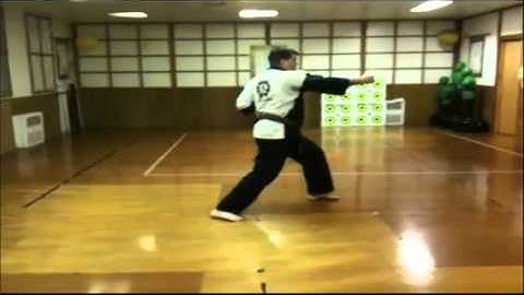 Tang Soo Do 2.0 Intermediate Form 9