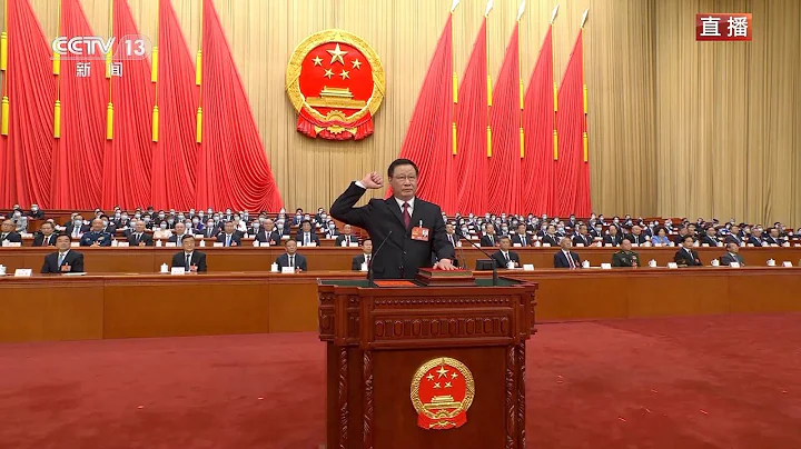 Procurator general of China's Supreme People's Procuratorate pledges allegiance to Constitution - DayDayNews