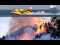 Firefighting aircrafts fight the blazes in Gran Canaria, 2019 (forest fire)