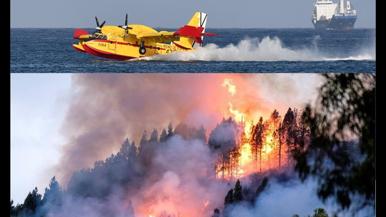 Firefighting aircrafts fight the blazes in Gran Canaria, 2019 (forest fire) video to gif