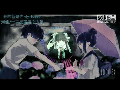 爱的就是你-刘佳/十二星宿风之少年～nightcore