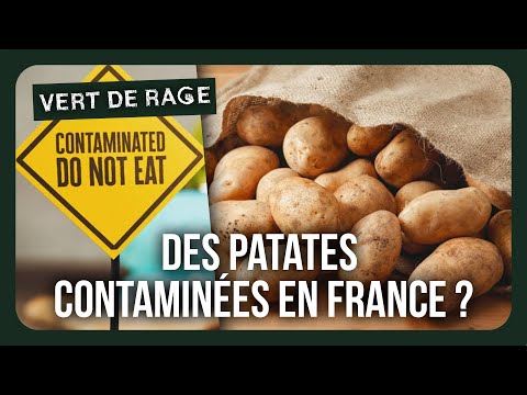 Cadmium: the hidden poison that contaminates potatoes