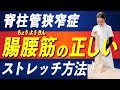 【脊柱管狭窄症】90%が知らない腸腰筋の重要性｜自分で正しくストレッチをする方法！