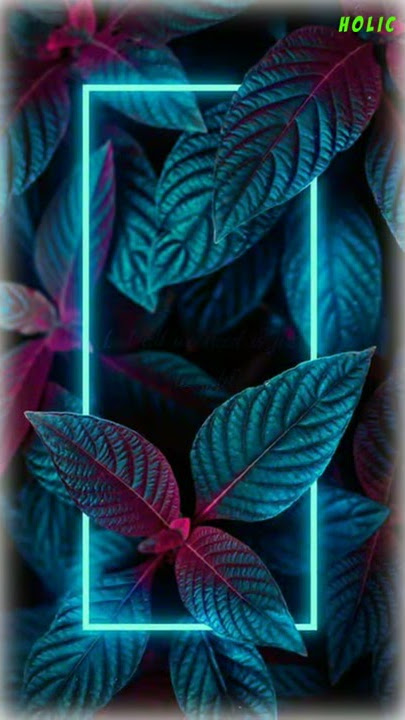 Alan walker ignite WhatsApp status ~ diamonds are forever ~ Holic