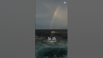 قل الحمد لله | ياسر الدوسري #القرآن #القرآن_الكريم #قرآن #تلاوة #تجويد #تلاوة_خاشعة#Quran