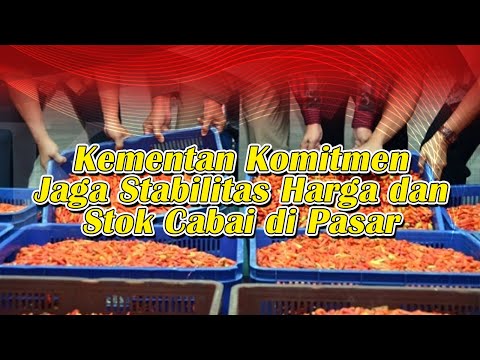 Kementan Komitmen Jaga Stabilitas Harga dan Stok Cabai di Pasar