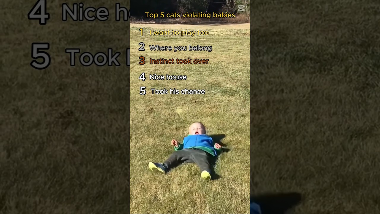 Top 5 Baby Cat violence To Baby 