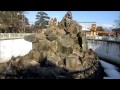 長野城山動物園サル山2017年 の動画、YouTube動画。