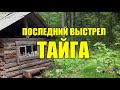 НА СОБОЛЯ С ЛАЙКОЙ | УКРАЛИ СОБАКУ | ЖИЗНЬ В ТАЙГЕ