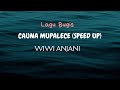 Lagu Bugis Cauna Mupalece Speed Up - Wiwi Anjani | Bikin galau brutal