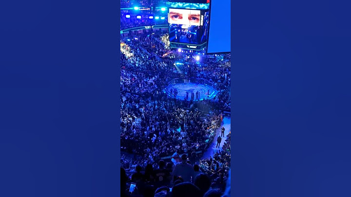 UFC 298 Ilia Topuria Walkout Anaheim California