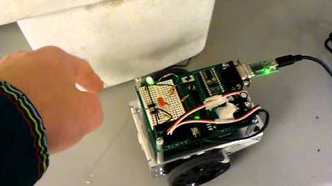 shane bond boe bot activity 4 part 1