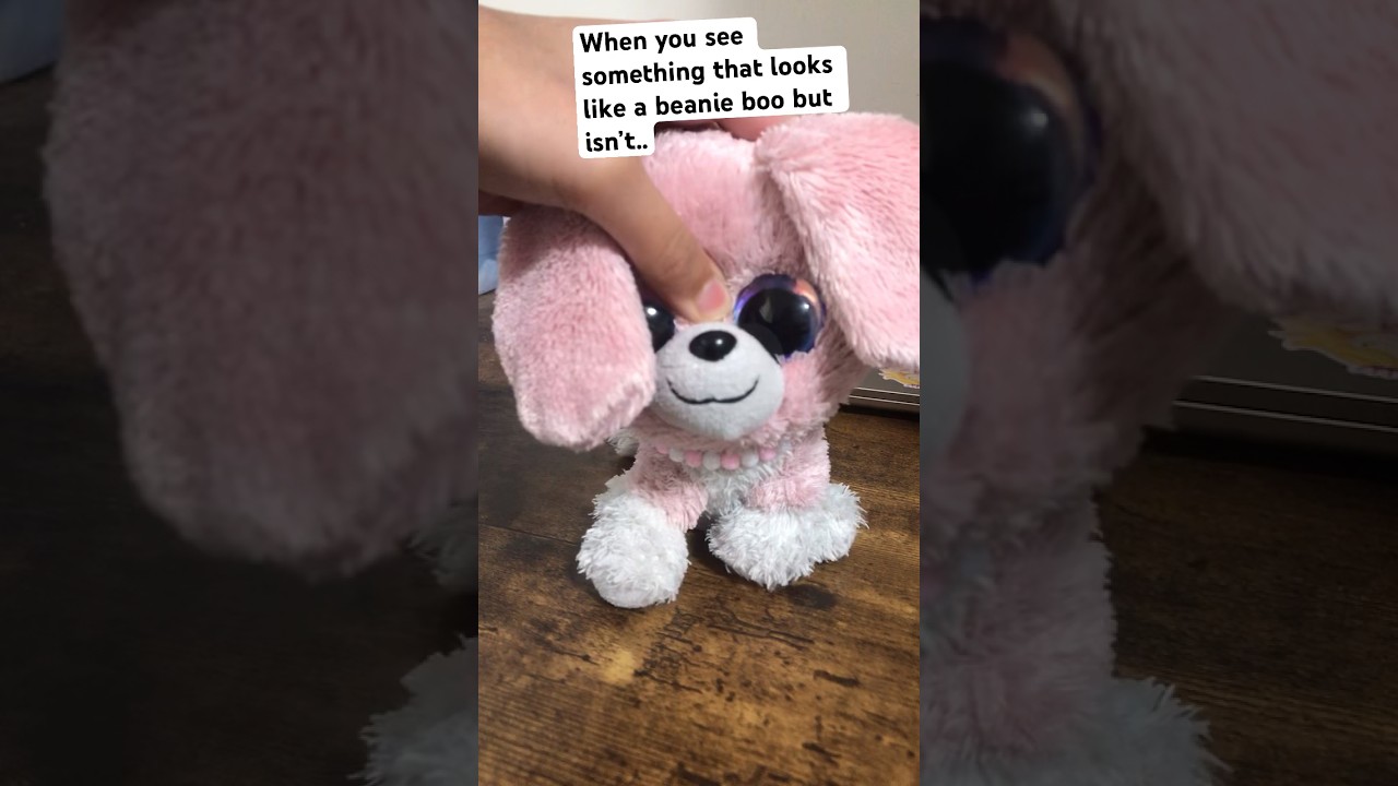 Beanie boo dupes? 😂 