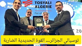 Ibrahim Elçiboga; General Manager at Tosyali Algeria