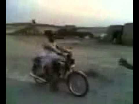 الحيط يا جحش الحيط يا حمار