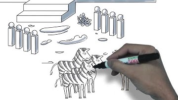 Whiteboard Explainer Video - by Explaininja Studios