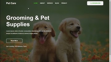 How to Make Pet Website in HTML and CSS with Source code || Creative Networks || Website Template