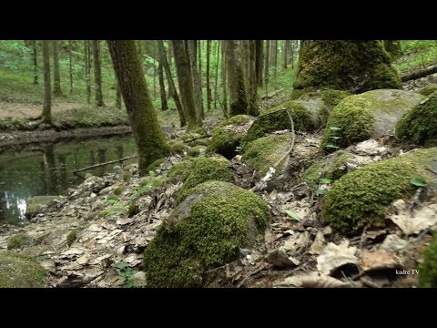 Video: Mēs Pārskatījām 2018. Gada GMC Reljefu, Braucot Testa Braucienā Jeloustounā