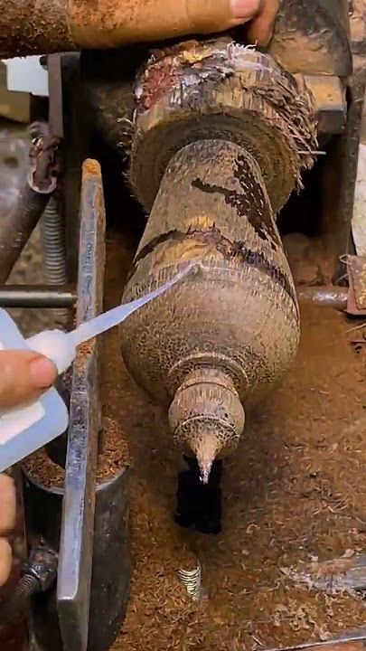 Unearthing Beauty Turning a Gnarly Tree Root into a Masterpiece