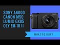 Panasonic GX85 vs Sony a6000 vs Olympus EM-10 II (OR) Canon M50 - What to Buy?