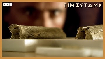 500,000 Year-Old Fossils Reveal ‘Different Species’ Of Human | BBC Timestamp