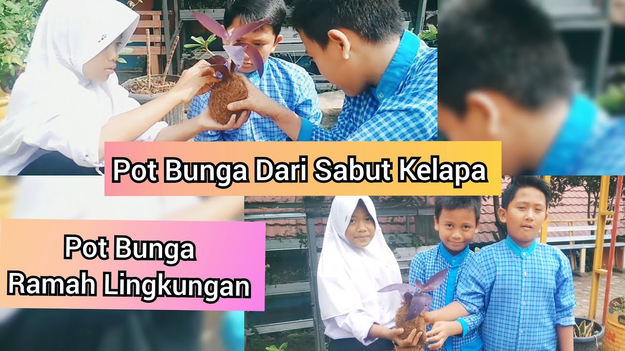  Pot  Bunga  Dari Sabut Kelapa Pot  Bunga  Ramah Lingkungan 