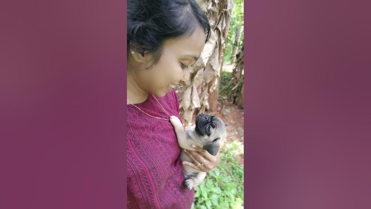 A Dog Is The Only Thing On The Earth That She Loves You More Than a-dog-is-the-only-thing-on-the-earth-that-she-loves-you-more-than