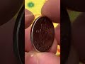 Norway 1 krone, 1957Coin Coins Money