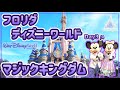 【ディズニーワールド】フロリダのマジックキングダムを探検〈Day.3〉