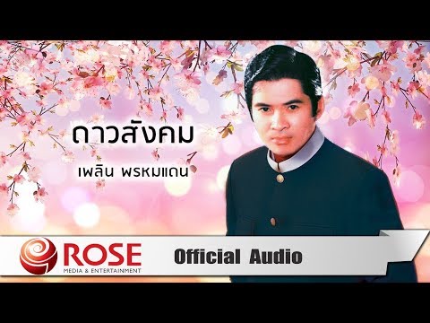 ดาวสังคม - เพลิน พรหมแดน (Official Audio)