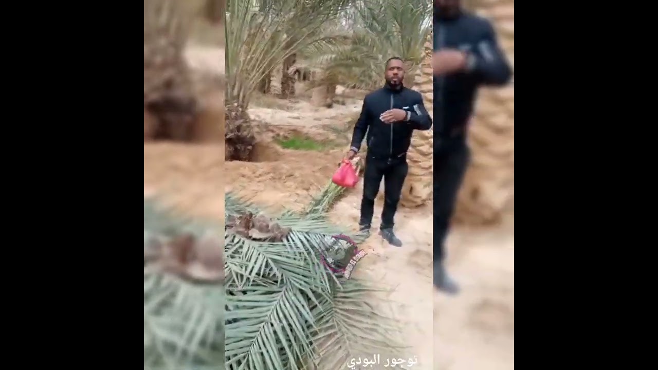 البدي والجبارة قصة عشق لاتنتهي